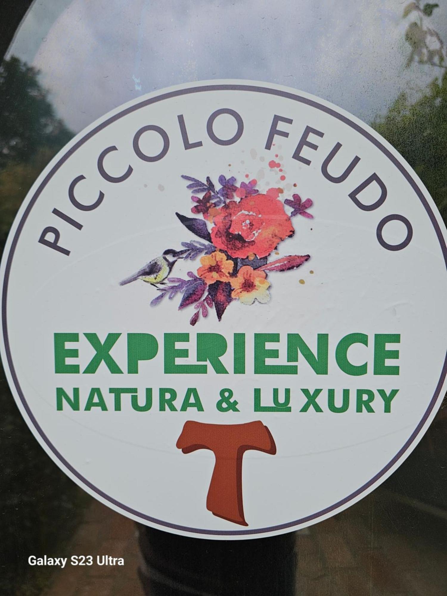 Piccolo Feudo Green Resort (Adults Only) Viterbe Chambre photo